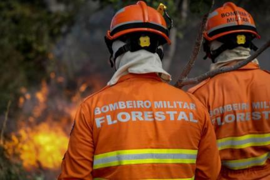 Período proibitivo de fogo no Pantanal começa 1° de junho