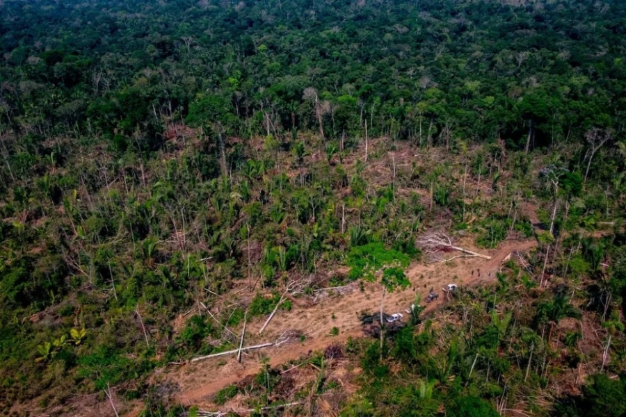 Consema anula multas ambientais que somam mais de R$ 10,4 milhões de produtor, hidrelétrica e empresa em MT