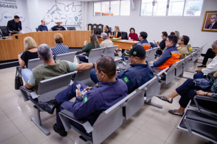 Comissão do Meio Ambiente discute combate a incêndios no Pantanal