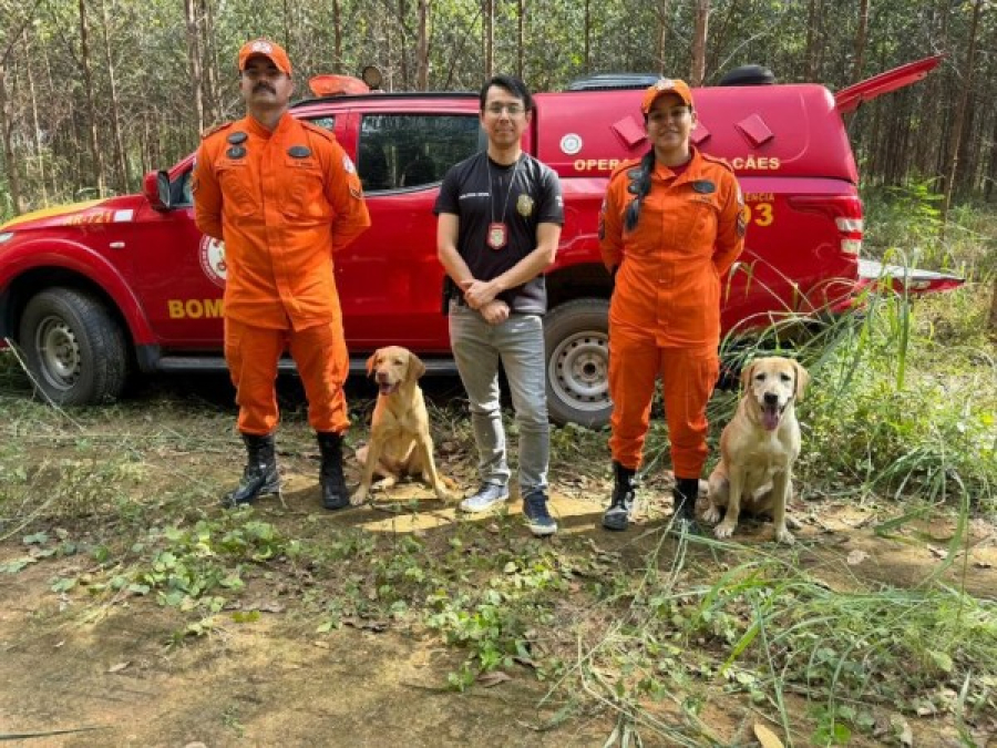 Bombeiros usam cão de busca e localizam corpo enterrado