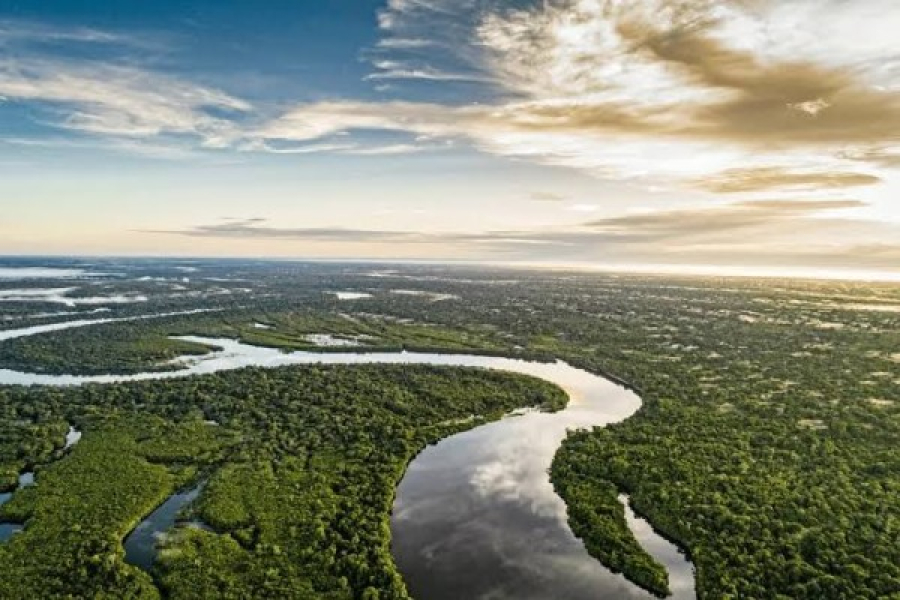 Mato Grosso lidera ranking de transparência ambiental na Amazônia Legal com índice superior à União