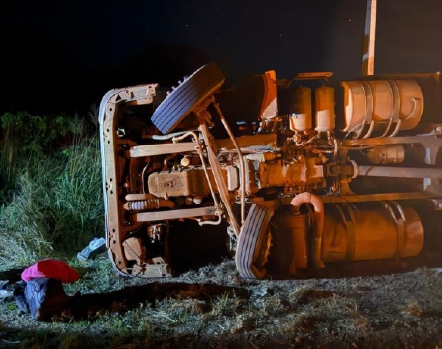 Carreta carregada de bois tomba às margens da MT-320 em Colíder